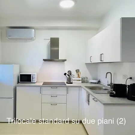 Shardana וילסימיוס