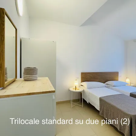 Shardana * וילסימיוס