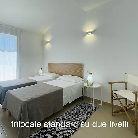 Shardana 维拉西米乌斯