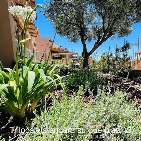 Hébergement de vacances Shardana *